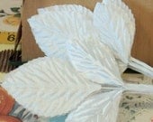 Vintage / White Rose Leaves / 12 Stems / 36 Leaves