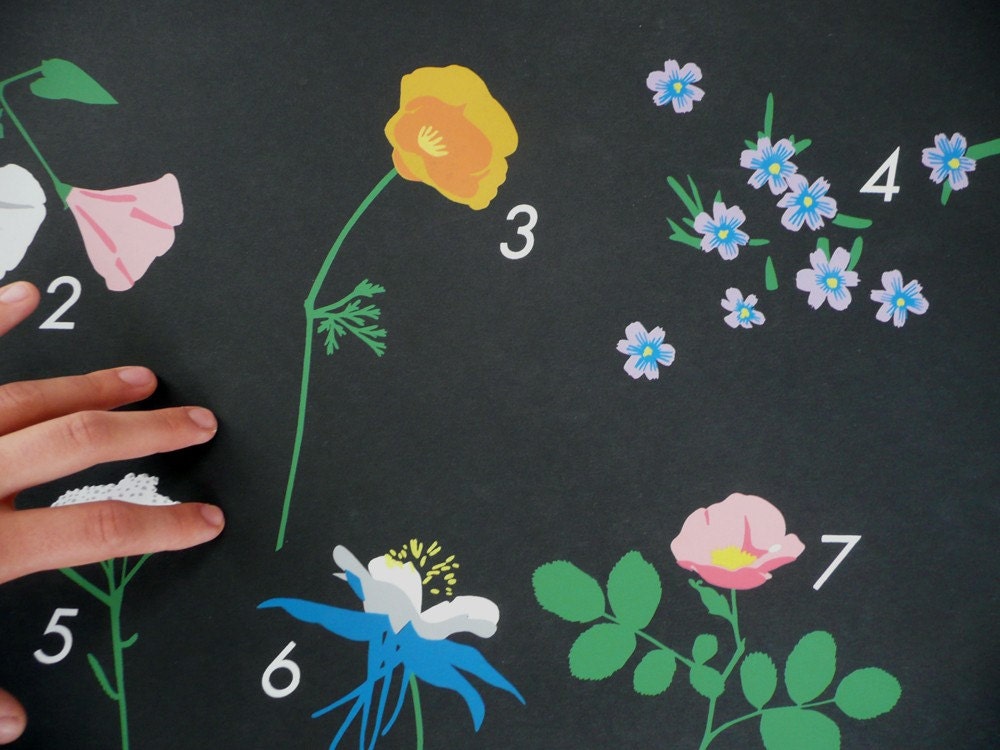 Wildflowers Calendar \/ Claire Nereim