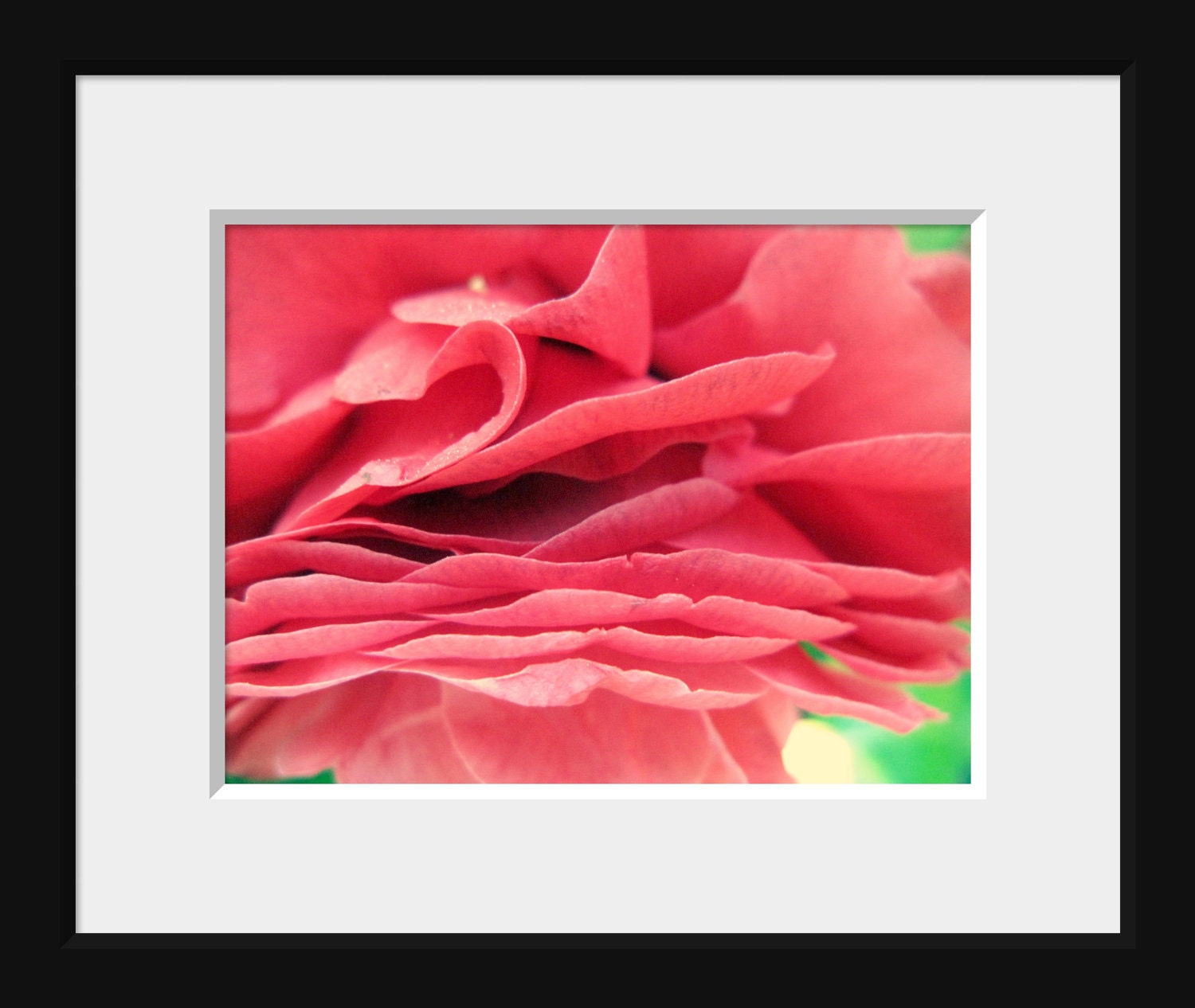 Pretty Pink Petals: fine art nature macro photograph print of bright pink camellia flower petals (delicate, feminine, girly)