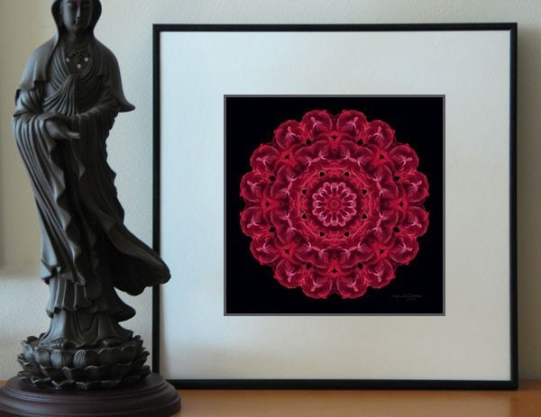 Red Rose Flower Mandala Art Spiritual Heart Connection - Consejo de las Rosas