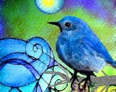 Moonglow 5 x 7 bird flower colorful drawing bird art print bird painting mixed media hand embellished