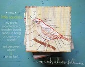 parts of a typical bird SQUARE- 6x6