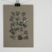 Moth - Original Gocco Print