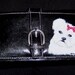 Hand Painted Maltese Dog Wallet