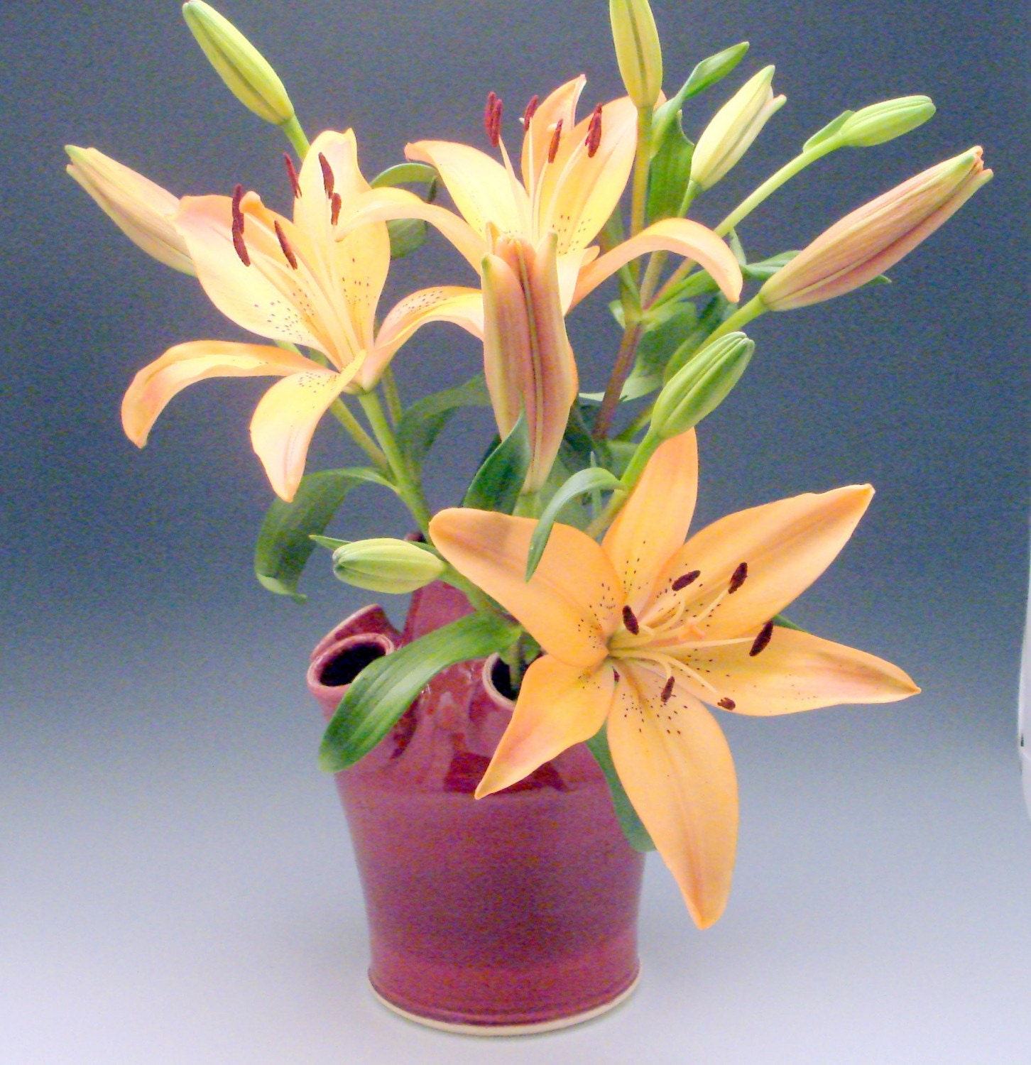 Tulipiere flower arranger vase Deep Red