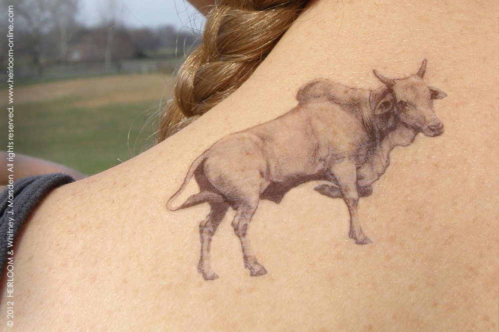 Limited Edition: Spring Farm Animal Temporary Tattoo Series