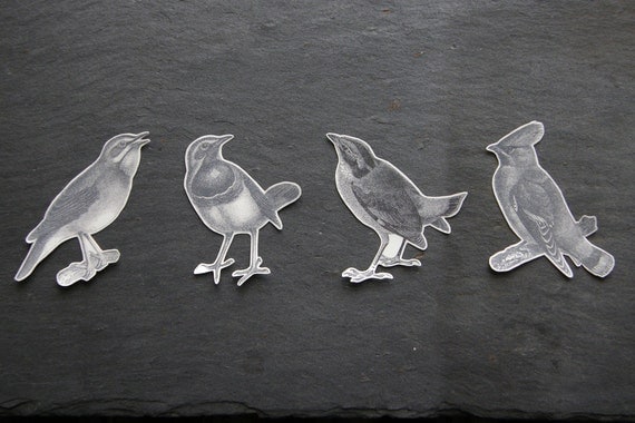 4 Birds: Temporary Tattoos