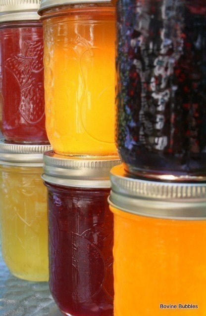 Any Six Jams or Jellies