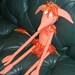 Labyrinth inspired Fiery Goblin doll peach fabric