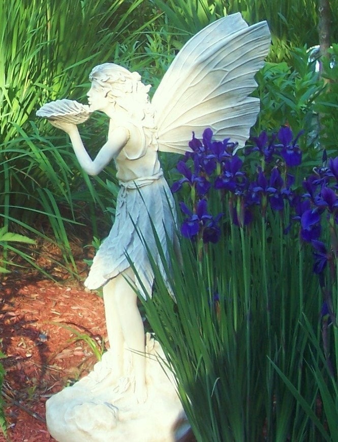 Purple Siberian Iris bulbs