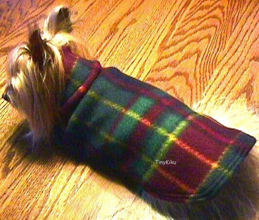 Hunter Maroon Navy PLAID Coat / Sweater for DOG or CAT  (xxxs, xxs, xs, s, m)
