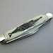 Scrimshaw Stockman Pocket Knife, Sperm Whale and Giant Squid