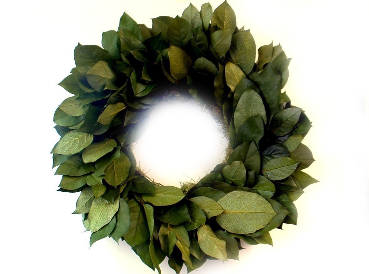 Classic Green Lemon Leaf preserved wreath