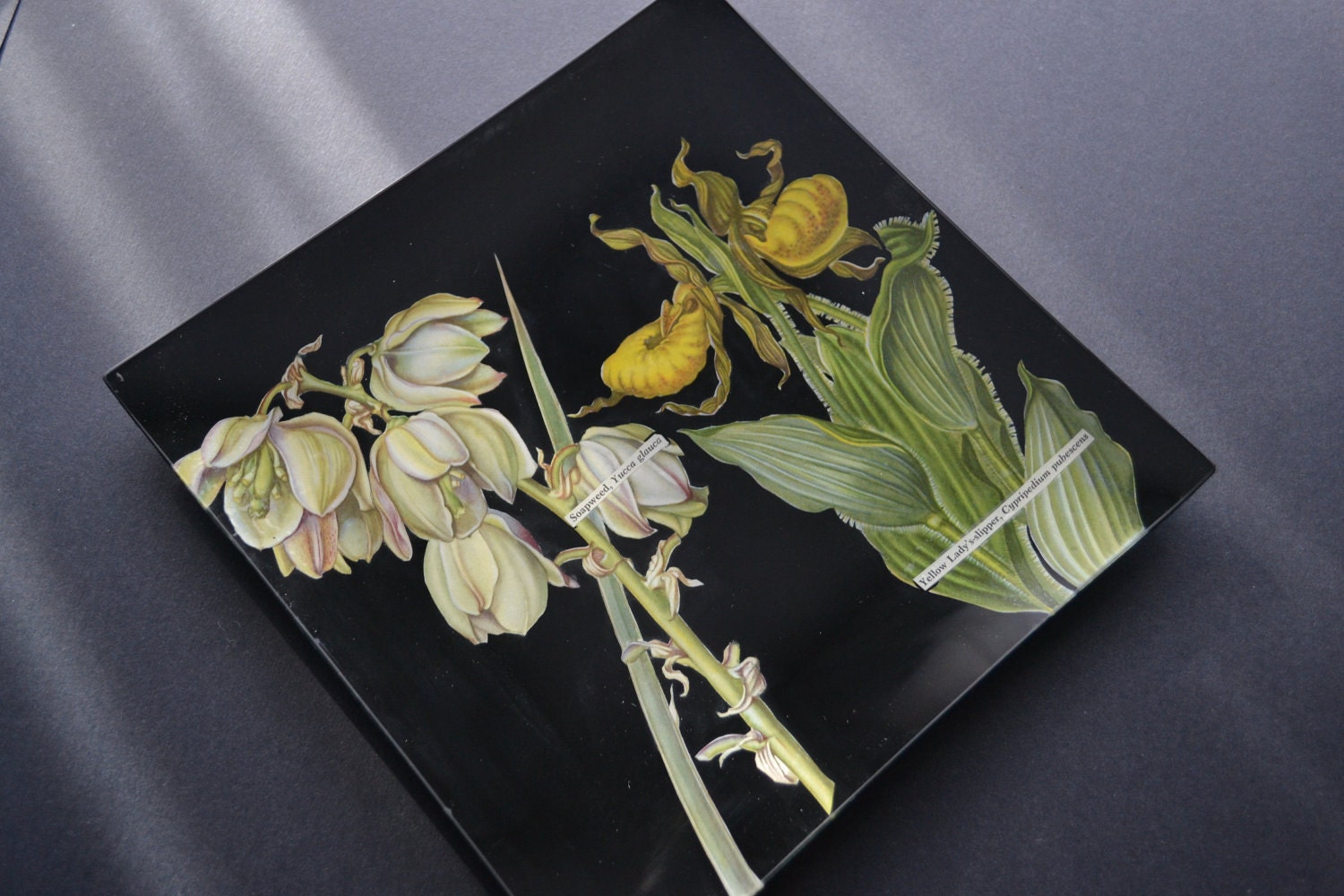Blackboard Botanical Decoupage Platter - Mid Century Plate