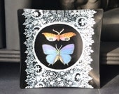 Mid Century Blackboard Lace Butterfly Glass Tray - Decoupage Plate black white orange periwinkie blue wings
