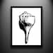 Shell Papercut  Art - Whelk 11x14 Original Hand Cut Paper Art