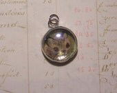 Soldered Glass Bubble Charm Grey Kitty Cat with Vintage Illustration
