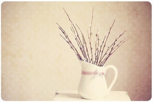 Postcard - Spring-