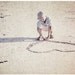 Postcard -Love-