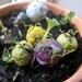 2 Plantable Paper Seed Bomb Wedding Favor DIY Bags - Flower Seeds
