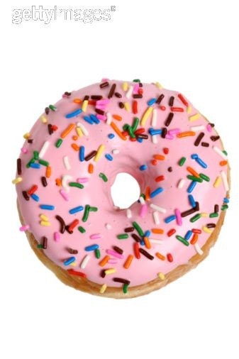 Custom Doughnut Costume for REEP