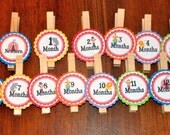 Circus Photo Clips. Photo Banner. First Birthday. Carnival. Clown. Elephant. Big Top. Set of 13