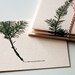 twinkle . holiday cards