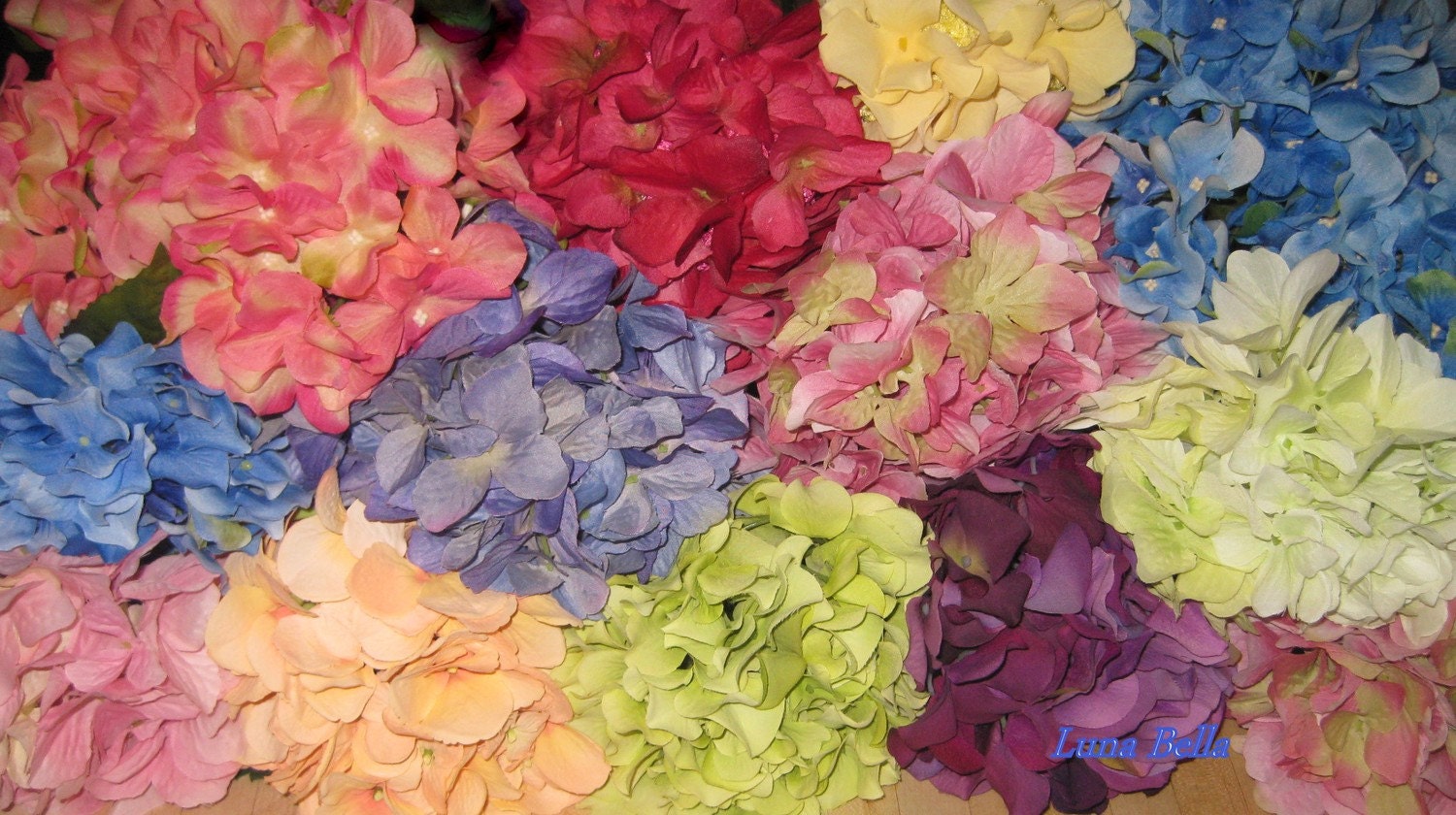 Luna Bella Hydrangea Petal Bloomers