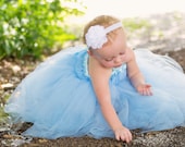 Cinderella costume tutu dress in blue