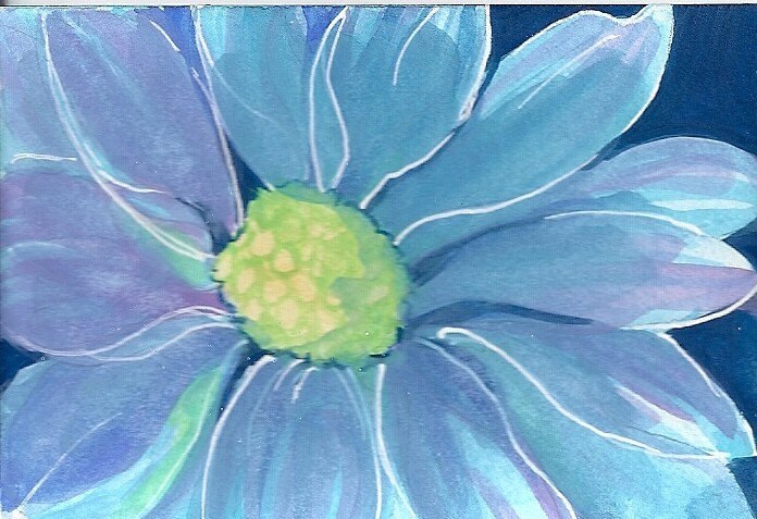 Blue Gerbera Daisy
