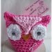 Save your Hooters...Crochet Owl