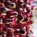 Rich polished Rhodolite Briolettes