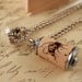 Bee Necklace, Eco Friendly Necklace, Recycled Cork Necklace in Test Tube by Uncorked