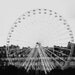 Midst- Photography Print