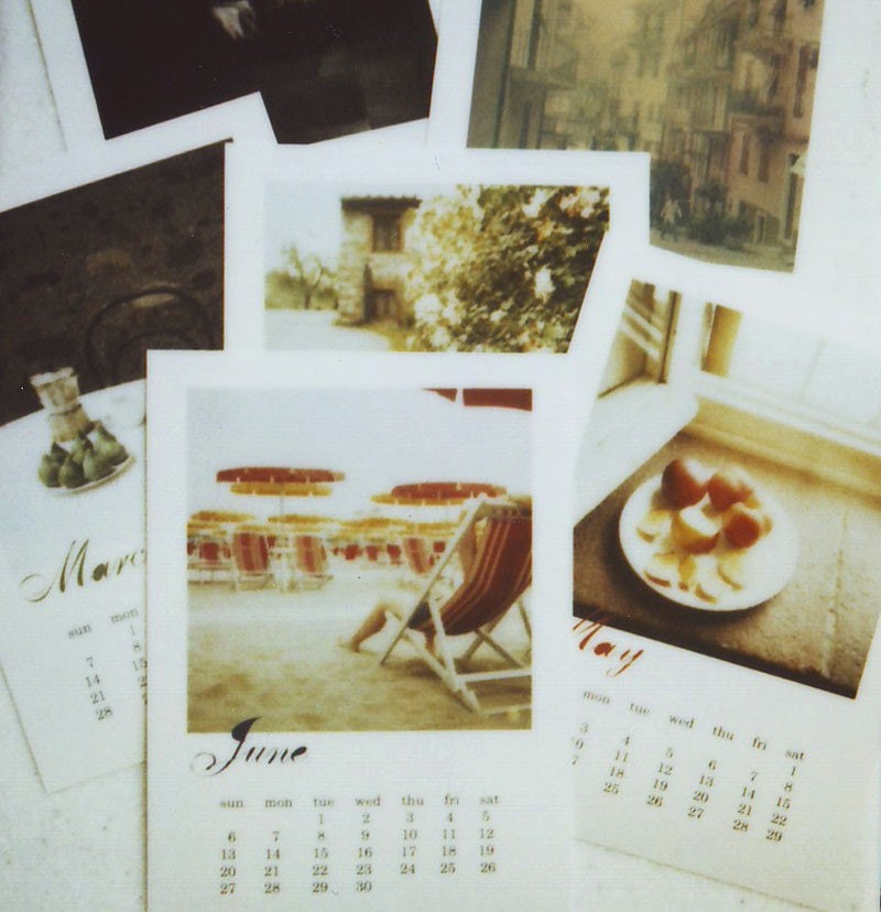 2010 polaroid calendar