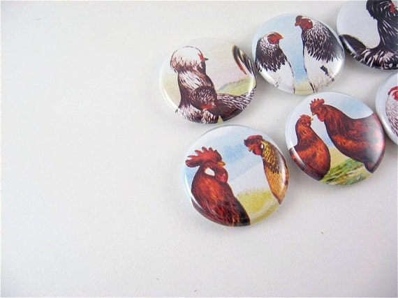 7 Rooster and Hen Magnets  / Chicken in the Farmyard 1131