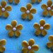 Cheerful Yellow Daisy Flower Buttons, Self Shank