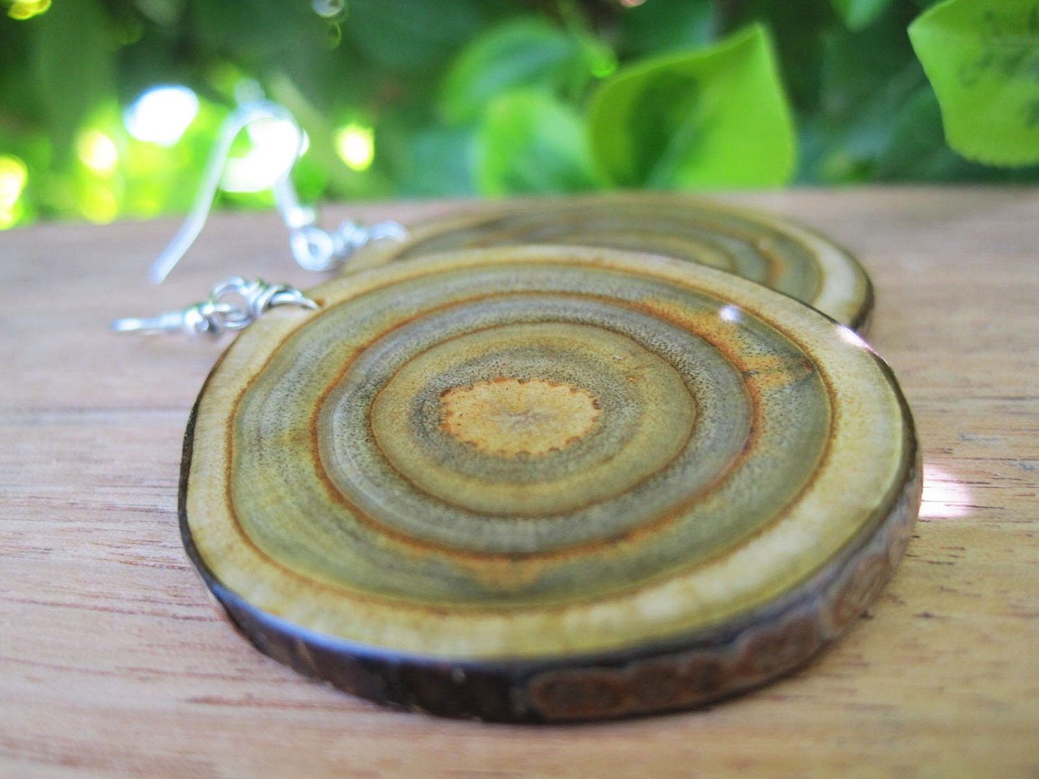 Wood Earrings - Branch Jewelry - Large and Oval - Sumac - Green - Target - Spiral - Grain -3D