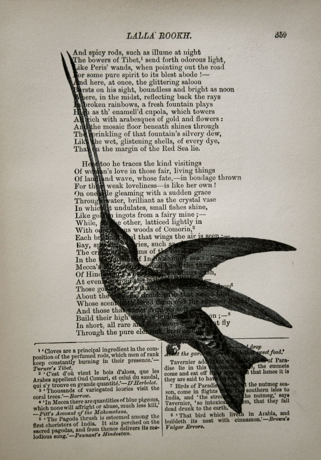 Hummingbird Print on Vintage Book Page - 5 x 7