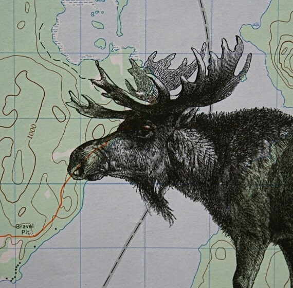 Moose Print on Topographic Map Quebec Canada - 5 x 7