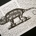 Chameleon Print on Vintage Arabic Text Book Page - 5 x 7
