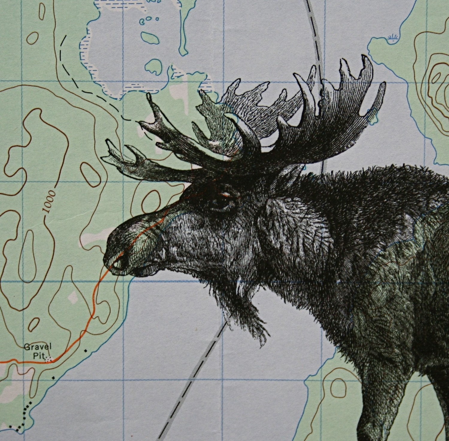 Moose Print on Topographic Map Quebec Canada - 5 x 7