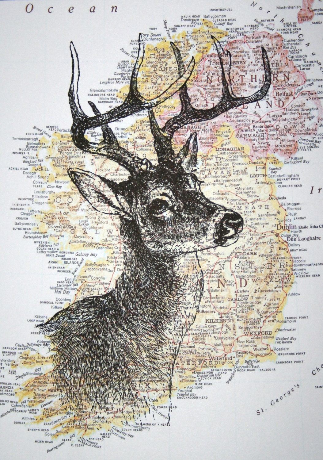 Deer Print on Map of Ireland - 5 x 7 Irish Deer Head Print St Patrick's Day