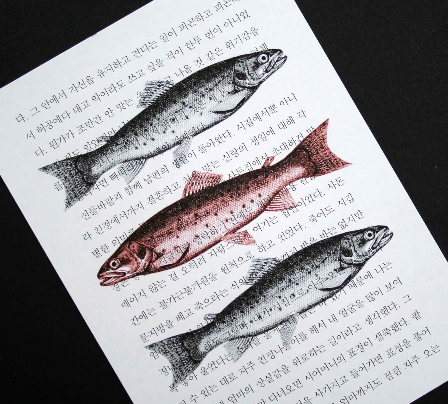 Fish Print on Korean Book Page - 5 x 7 Book Page Print