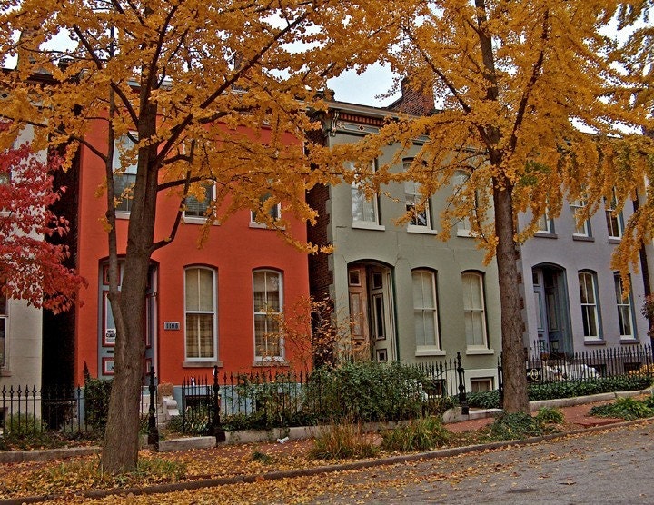 Autumn near the square