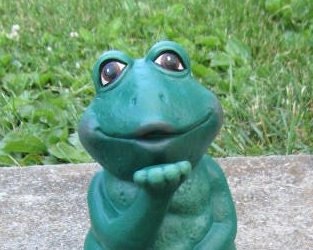 Romeo the Kissing Frog