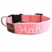 Personalized Webbing Dog Collar (17 colors to choose from) Hand Embroidered with your dog's name