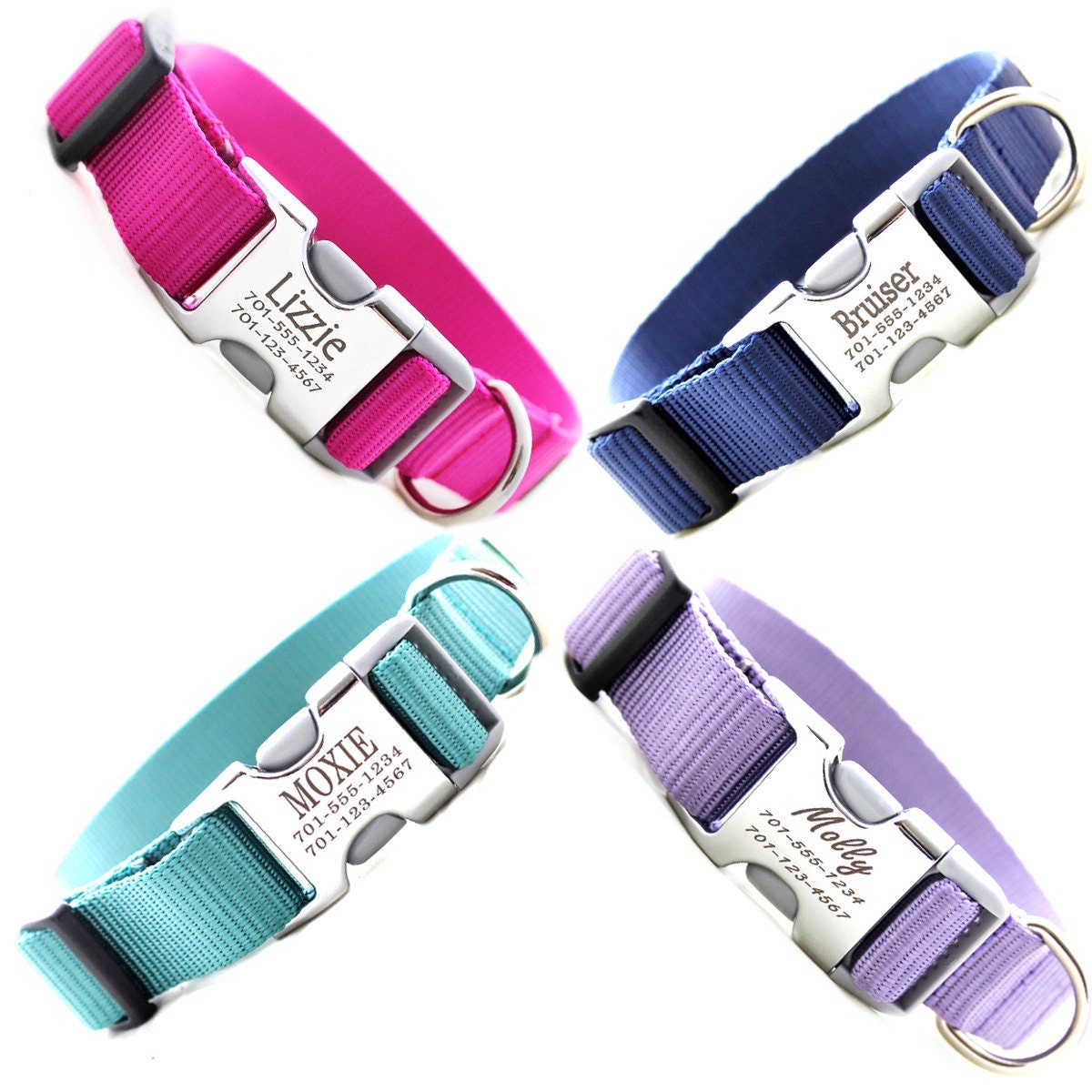 Metal Engraved Buckle Dog Collar - Personalized with 18 Webbing Colors to Choose From