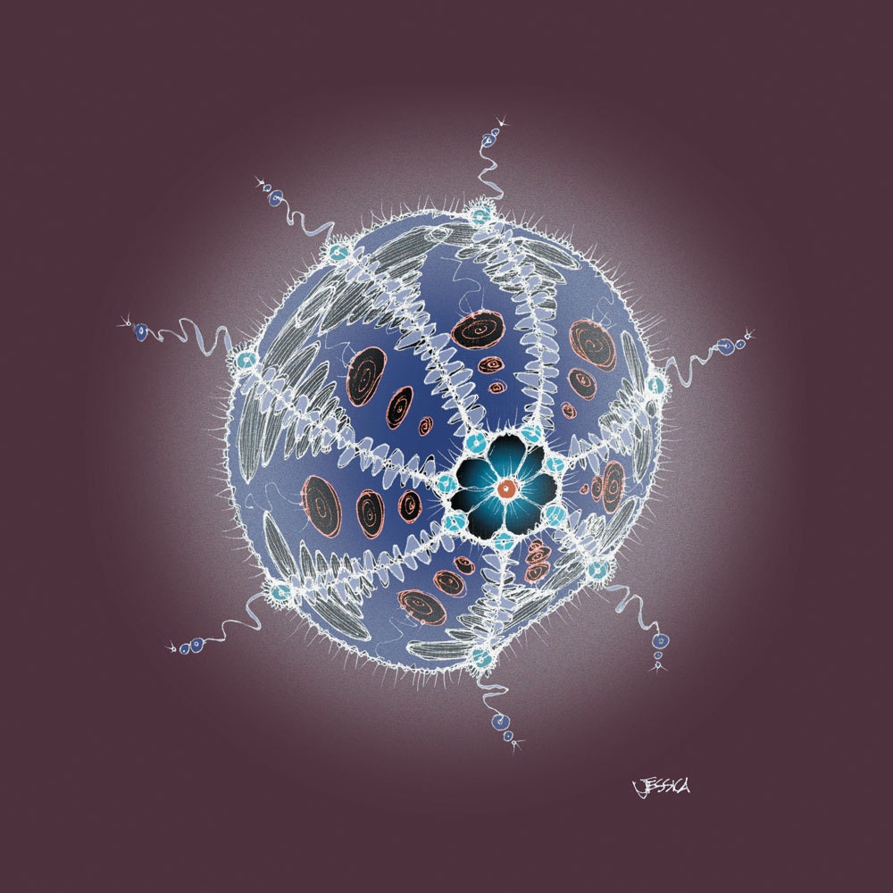 The Indigo Urchin - Large Size 12x12 inch limited edition fine art print - Magical Sea Life