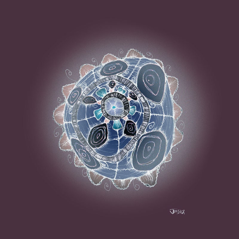 Aquarium Themed Art - Beachy Beachy Beach - Indigo Edition - Set of 4 outerwordly 8x8 prints - Sea Urchin, Barnacle, Starfish, Coral,
